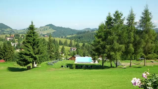 Tinerii se implică în afacerile din mediul rural. Cum își surprind clienții