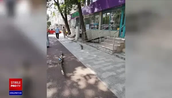 Un băiat de 9 ani din Galați a fost lovit de o creangă ruptă de vânt. „I-a căzut undeva pe față”