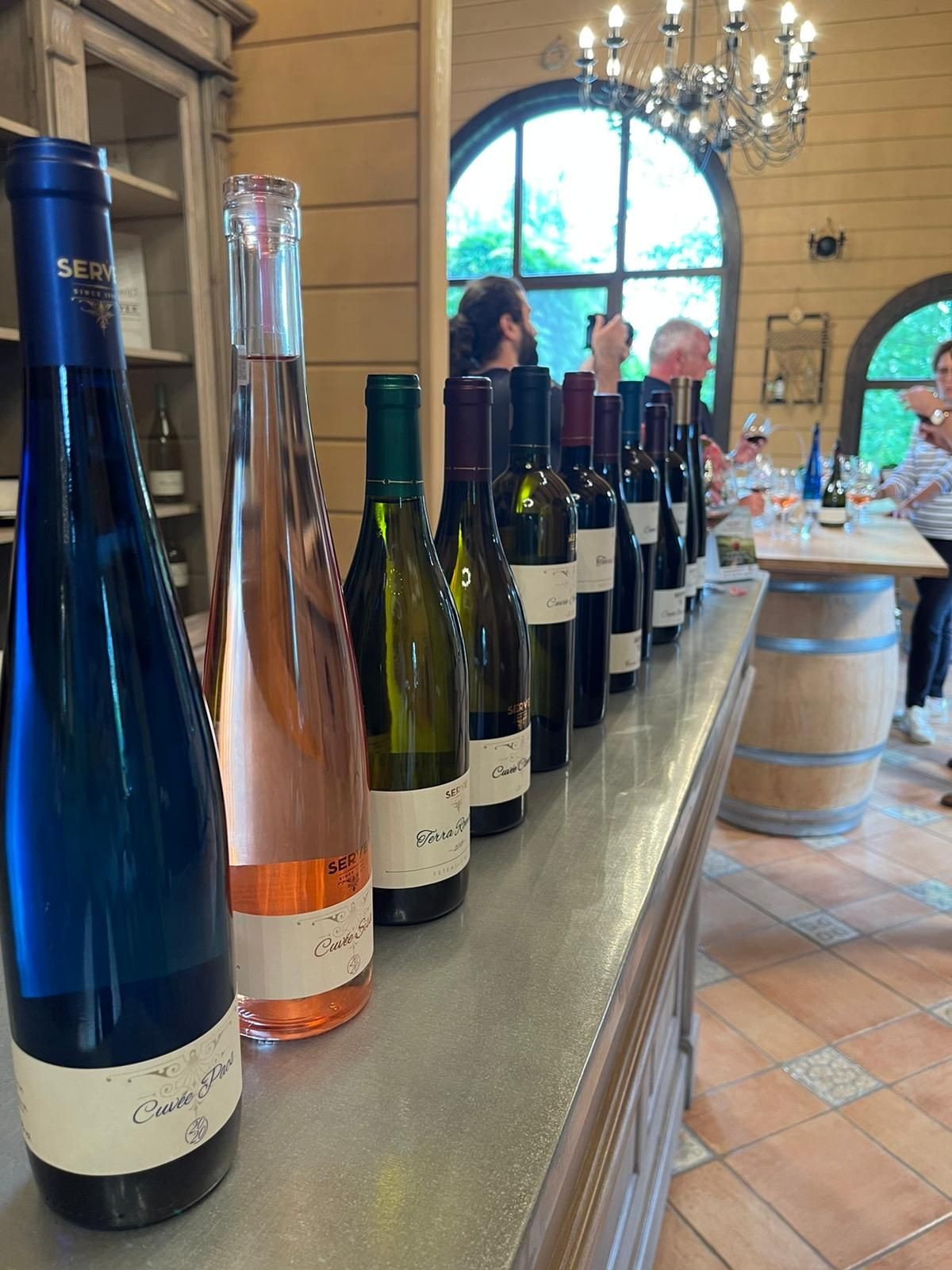 Wine Trips Rom&acirc;nia | Pe drumul vinului rom&acirc;nesc la Crama SERVE