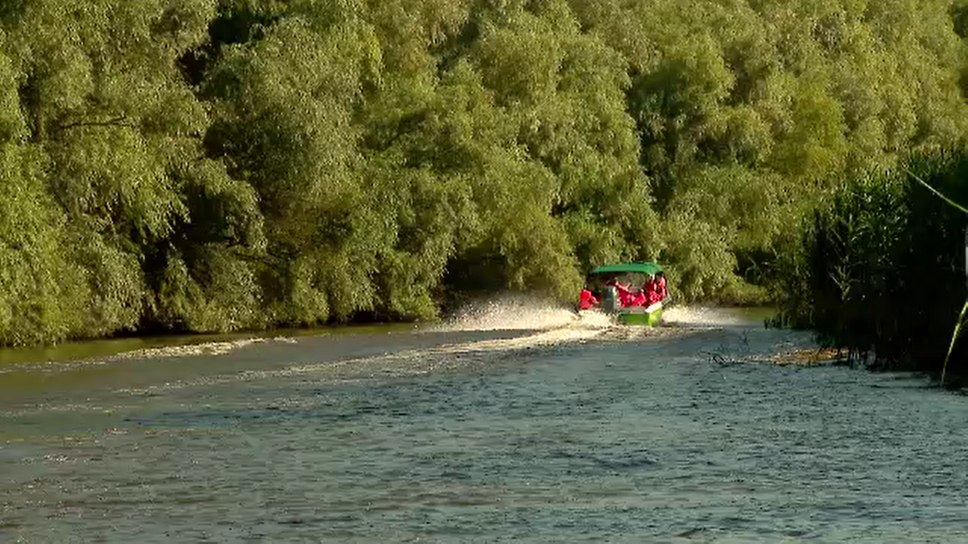 Delta Dunării s-a umplut de iahturi care gonesc cu viteză pe canalele înguste și pun în pericol ecosistemul