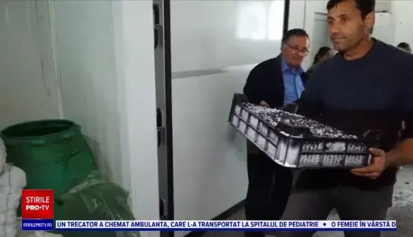 Nu mai există forță de muncă pentru fructele de pădure. În premieră, sunt scoase la licitație online