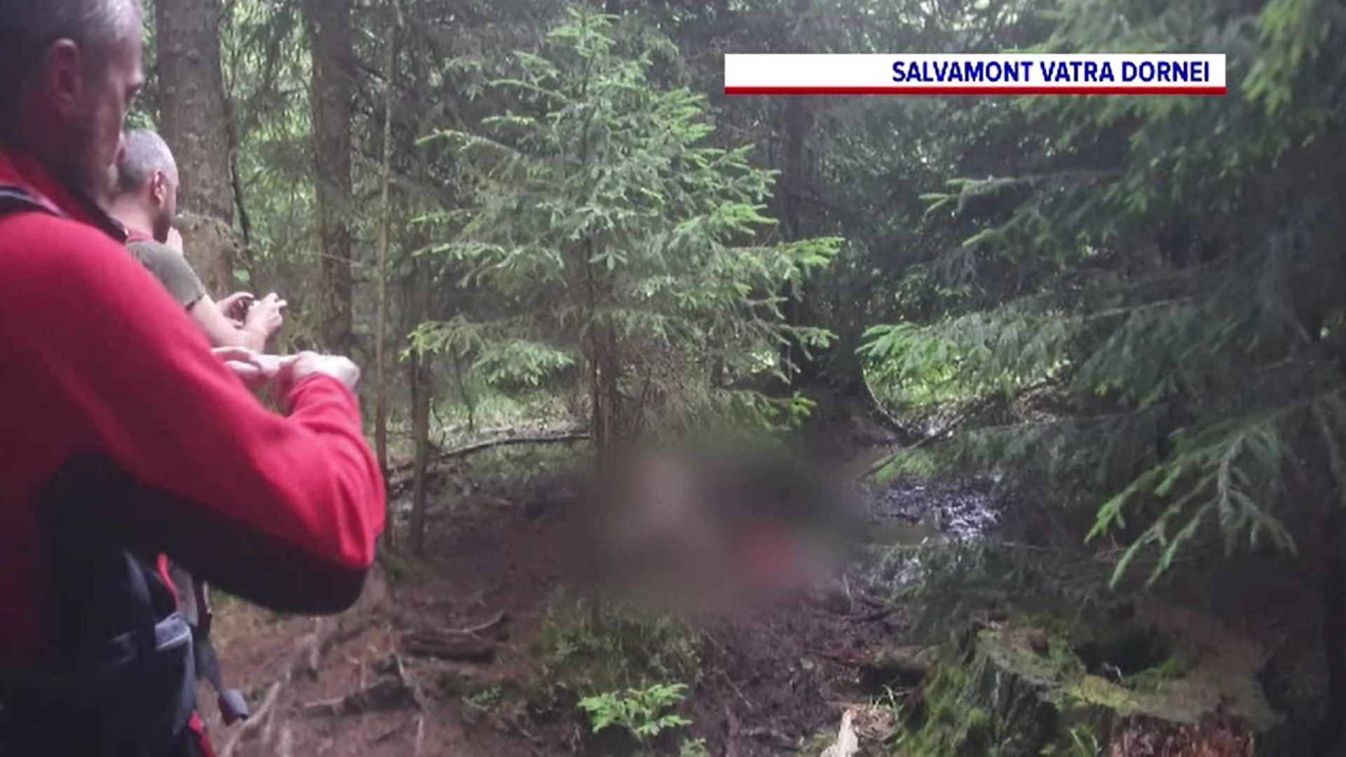 Un cioban a murit și altul a fost rănit grav de un urs care i-a atacat la o stână din Harghita