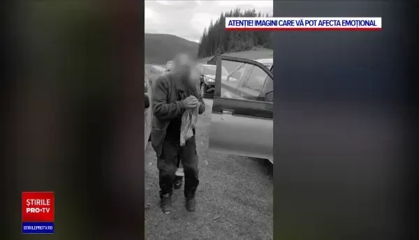 Un cioban a murit și altul a fost rănit grav de un urs care i-a atacat la o stână din Harghita