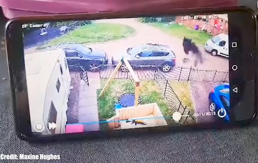 O femeie a chemat preotul să sfințească locuința, după ce a urmărit imaginile de pe camera de supraveghere. VIDEO