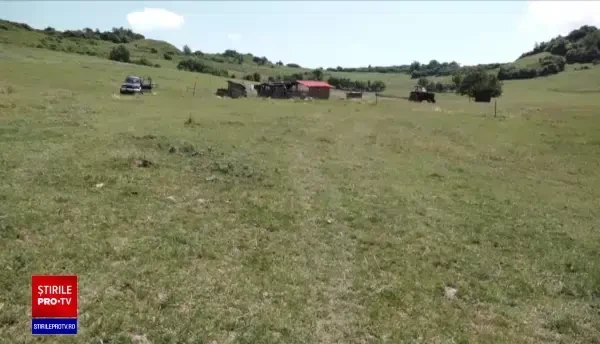 Încă un bărbat a fost ucis de un urs. Trupul său a fost găsit cu drona