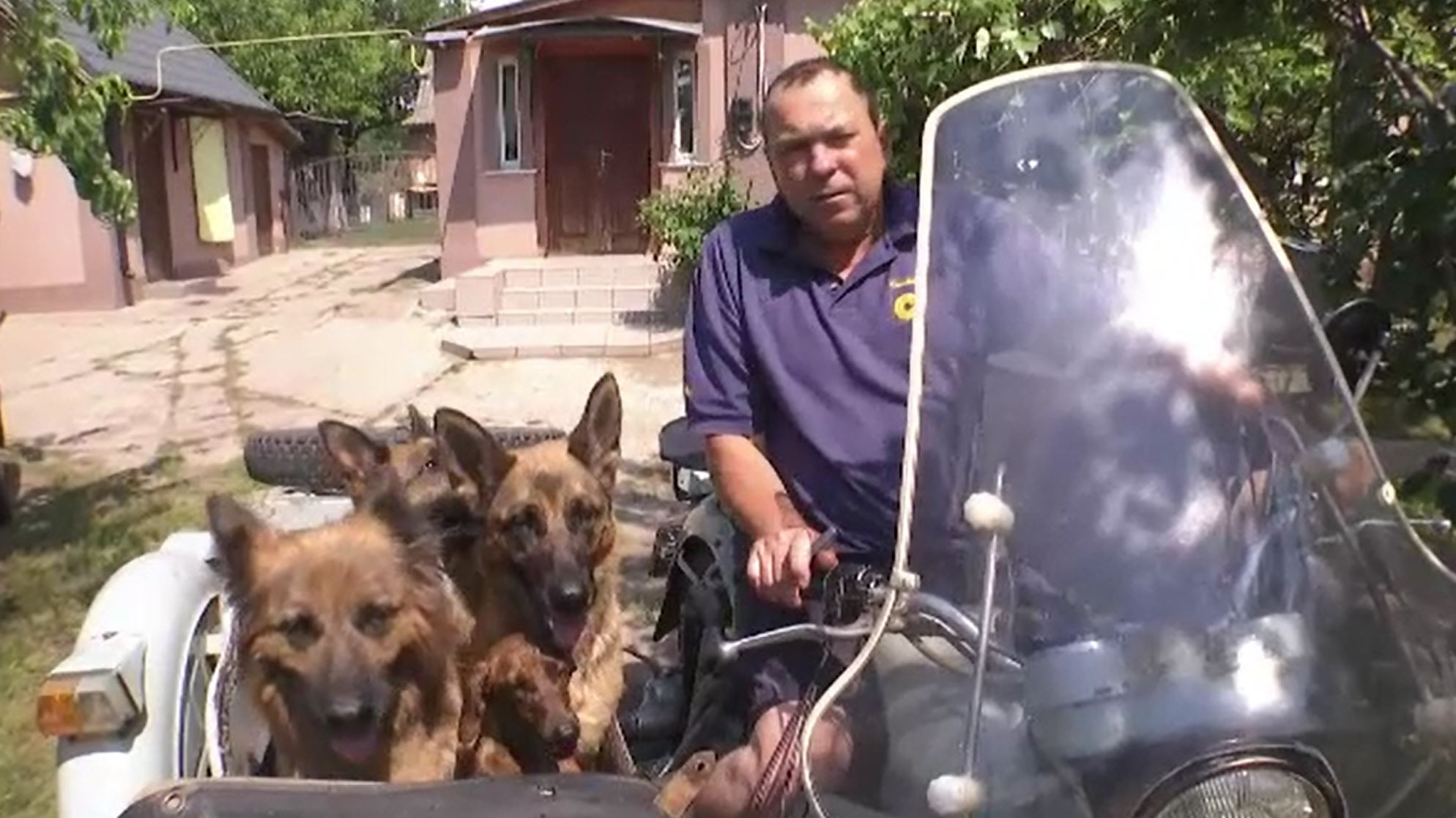 Un ucrainean a devenit celebru în urma unui video postat pe internet. Cum își plimba câinii