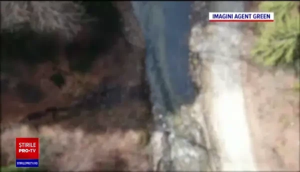 Păstrăvii sălbatici din România, pe cale de dispariție. Cum s-a ajuns în această situație