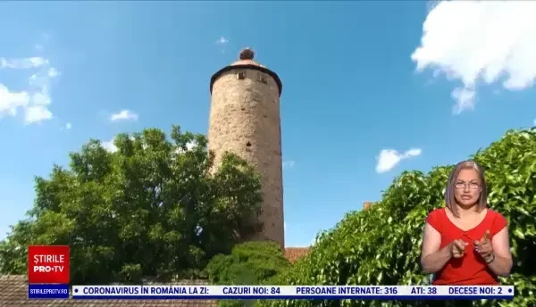 Trei pui de barză au rămas orfani după ce părinții lor murit loviți de trăsnet