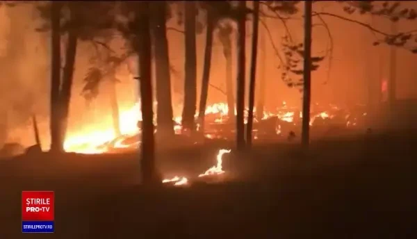 Cel mai mare incendiu din California își generează propriul climat. Ce sunt norii "pyrocumulus"