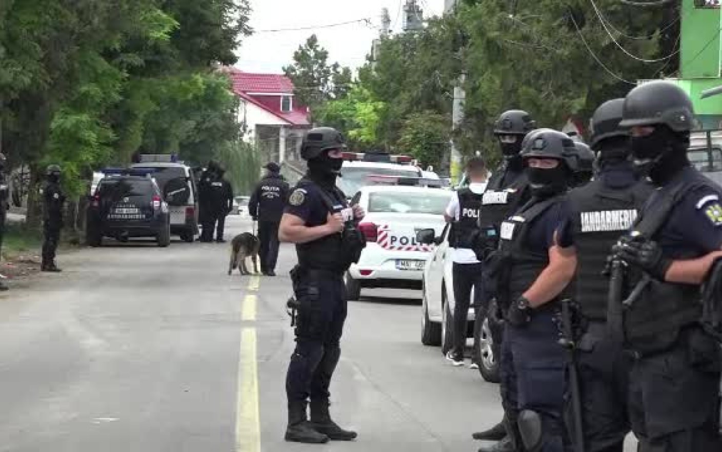 Verii Gigi Becali și Adrian Porumboiu din Murgeni, reținuți după lupte de stradă. De la ce a pornit totul