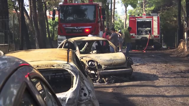Pompierii sunt în alertă într-o suburbie la nord de Atena, unde un incendiu a ars o pădure