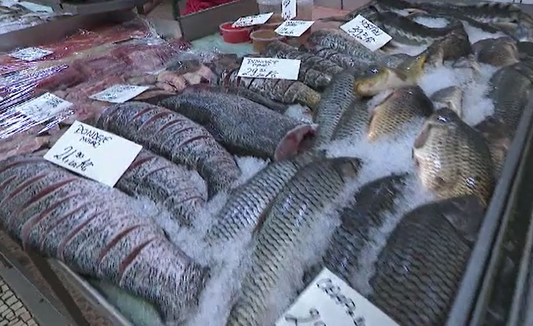 Fermele piscicole, tot mai populare în România. UE pune la bătaie fonduri importante pentru cei care vor o astfel de afacere