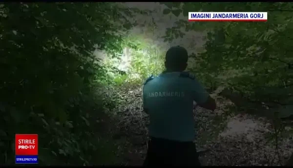 Ursoaică salvată dintr-un laț, în Gorj, și dusă departe, în munți. Polițiștii îl caută pe cel care a pus capcana