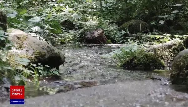 Cabanele de vânătoare ale Romsilva din țară pot fi închiriate la prețuri avantajoase. Vestea rea e că au fost deja rezervate