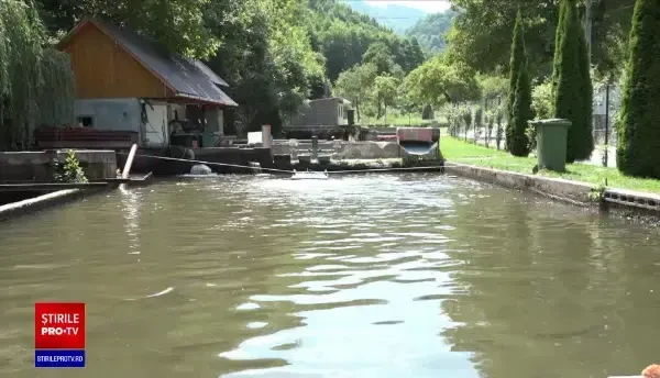 Fermele piscicole, tot mai populare în România. UE pune la bătaie fonduri importante pentru cei care vor o astfel de afacere