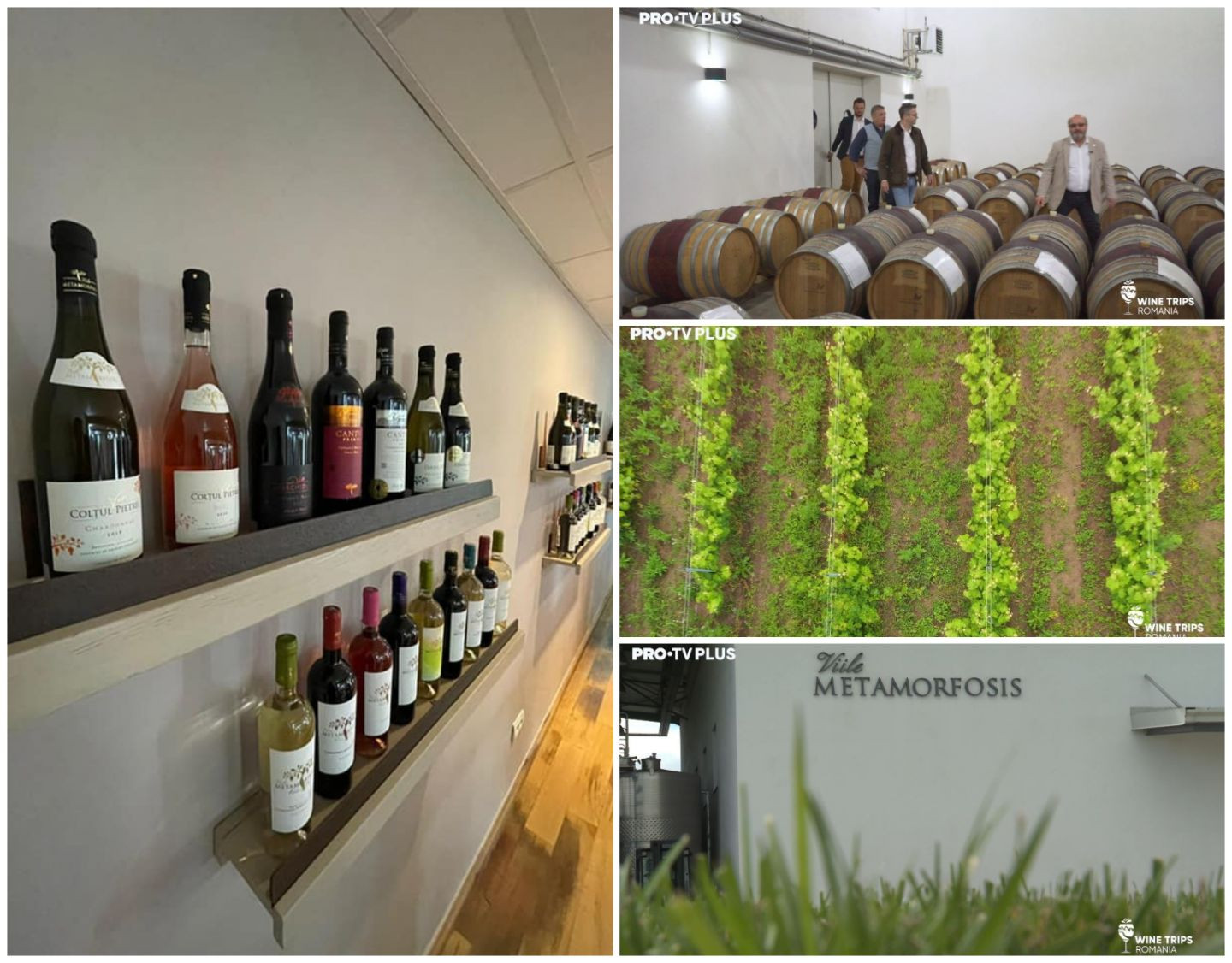 Wine Trips Rom&acirc;nia