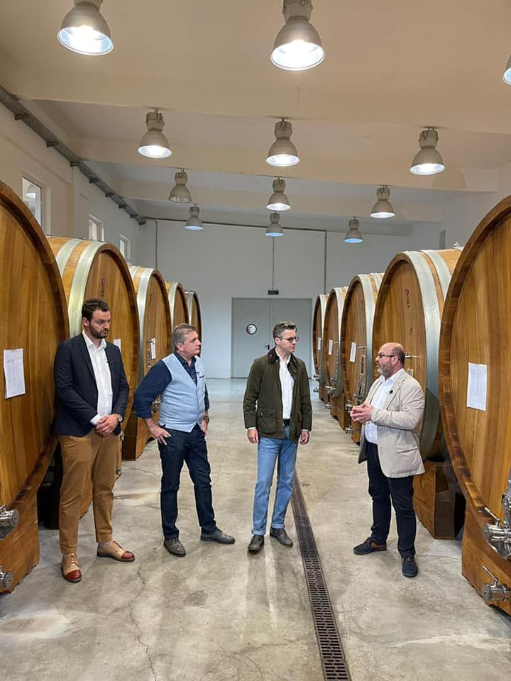 Wine Trips Rom&acirc;nia