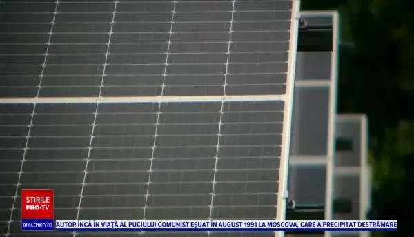 Tehnologia merge mână în mână cu oieritul. Ce legătură este între panourile solare și ovine