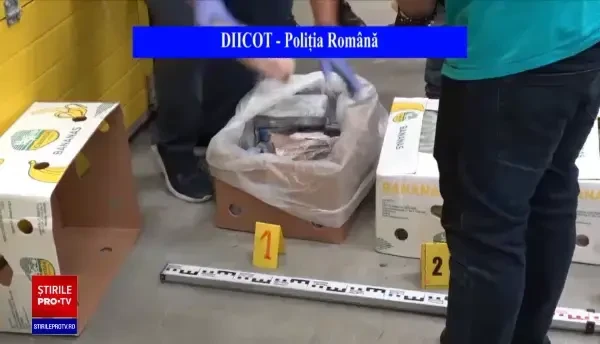 Jumătate de tonă de cocaină, descoperită în cutii de banane, la un depozit din Chiajna. Valoarea uriașă a drogurilor