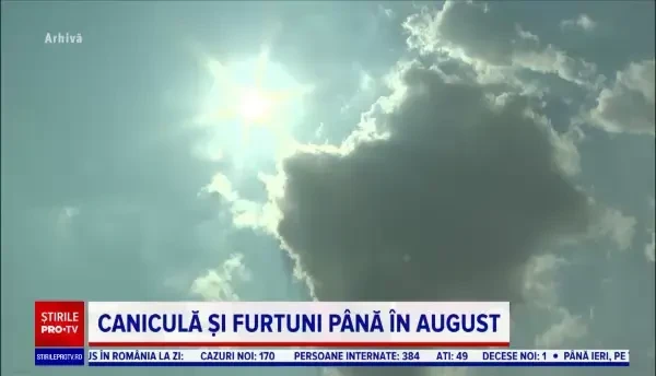 Canicula este la fel de chinuitoare pentru animale cum este și pentru noi. Recomandările specialiștilor