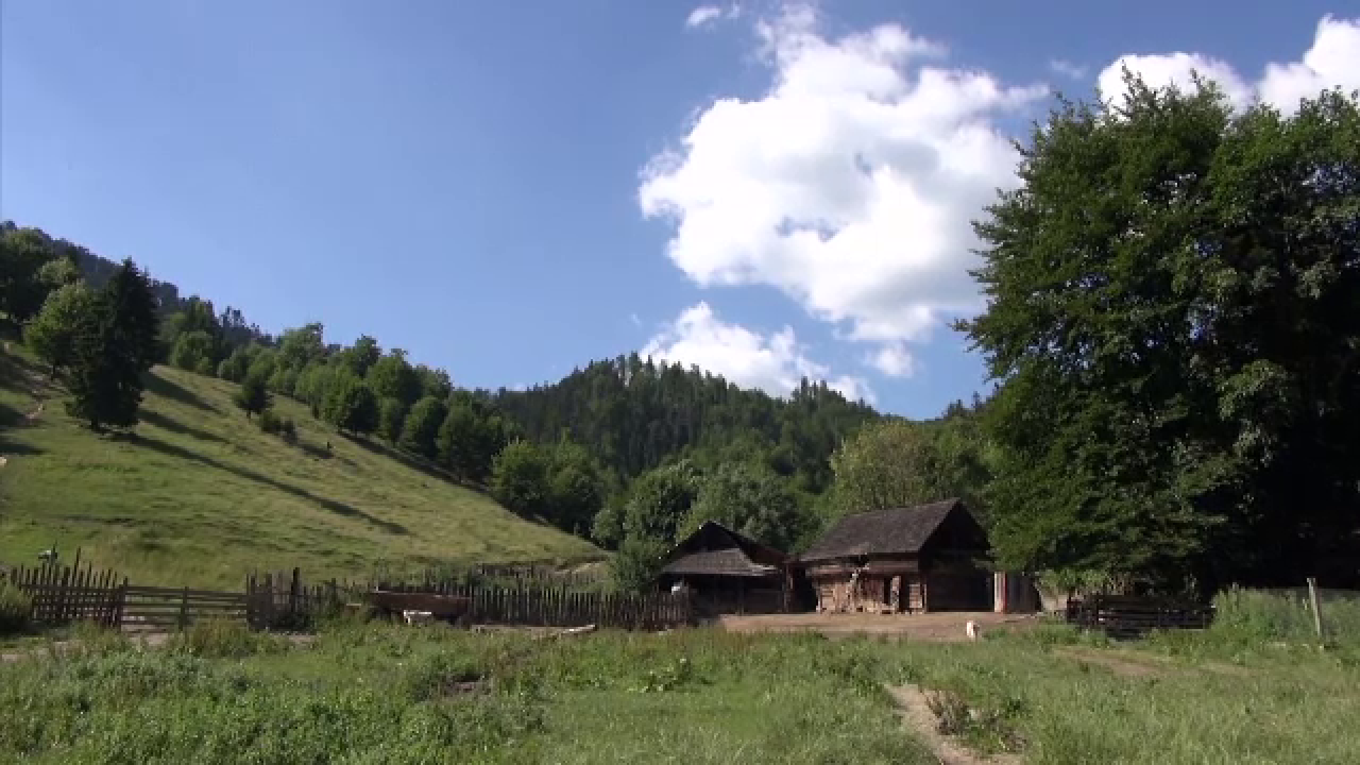 Valea Asăului, o nouă atracție turistică care prinde contur în județul Bacău: ”Este un loc în care îți încarci bateriile”