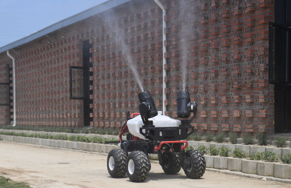 &Icirc;n China au apărut hotelurile pentru porci. Motivul pentru care suinele sunt ținute &icirc;n condiții de lux la etajul 13