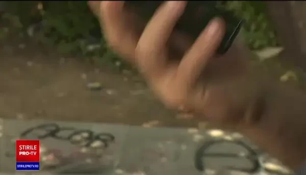 Cum funcționează de fapt noul sistem SUMAL, menit să decurajeze mafia pădurilor