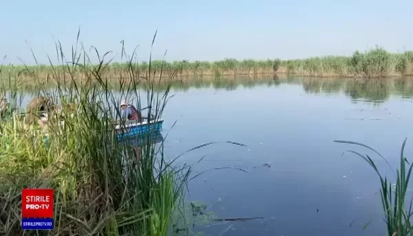 Klaus Iohannis, în vizită la Parcul Natural Comana. ”Vreau să atrag atenţia asupra importanţei acestor zone naturale”