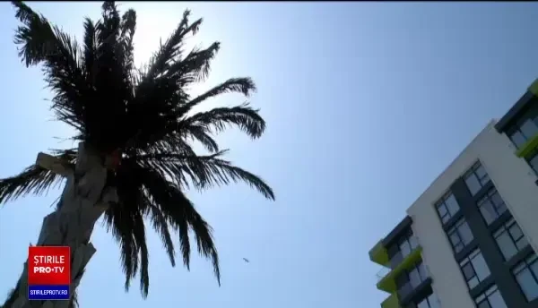 În plin sezon, preţurile de pe litoralul românesc ating noi culmi. Cât costă o zi în Vama Veche