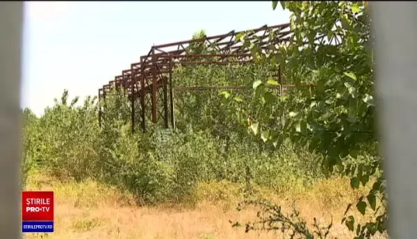 Imensă resursă de apă termală, în nordul Bucureștiului, pe un teren abandonat. „Tot ce este aici nu are stăpân”