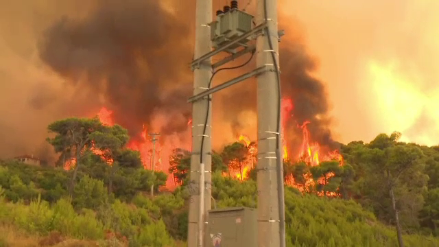 Premierul elen, despre incendiile de vegetație: &rdquo;Grecia se confruntă cu o criză fără precedent&rdquo;
