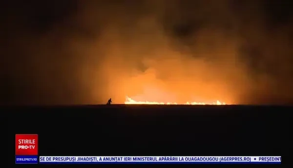 Incendiile de vegetație încep să facă ravagii și în România. Mai multe hectare de teren au ars în apropiere de Capitală