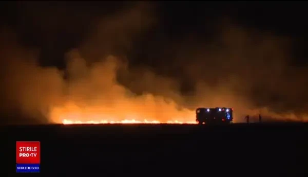 Incendiile de vegetație încep să facă ravagii și în România. Mai multe hectare au ars în Corbeanca