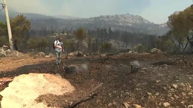 Doi oameni au murit în incendiile violente din Grecia. În urma lor rămâne un peisaj dezolant