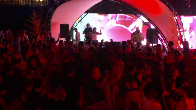 Bilanțul infracțiunilor constatate de poliţişti şi jandarmi la Festivalul Electric Castle de la Bonţida