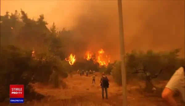 Incendiile se extind cu o viteză incredibilă în Grecia. Plantaţii întregi de măslini au fost distruse
