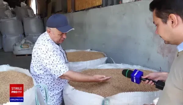 Cea mai bună producţie de grâu din ultimii 10 ani, în România. „Anul acesta vom mânca o pâine mai bună”