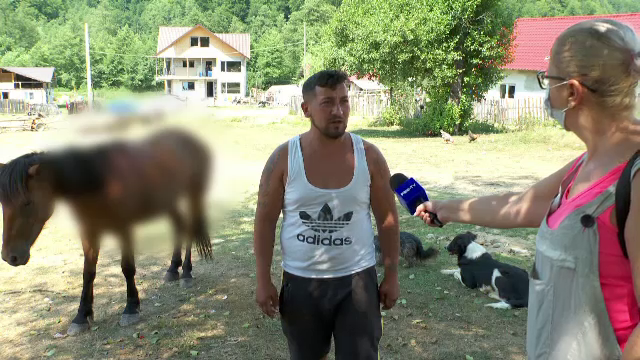 Cal rănit grav de urs, a alergat până la jumătatea satului cu fiara în spate. Medicii l-au eutanasiat