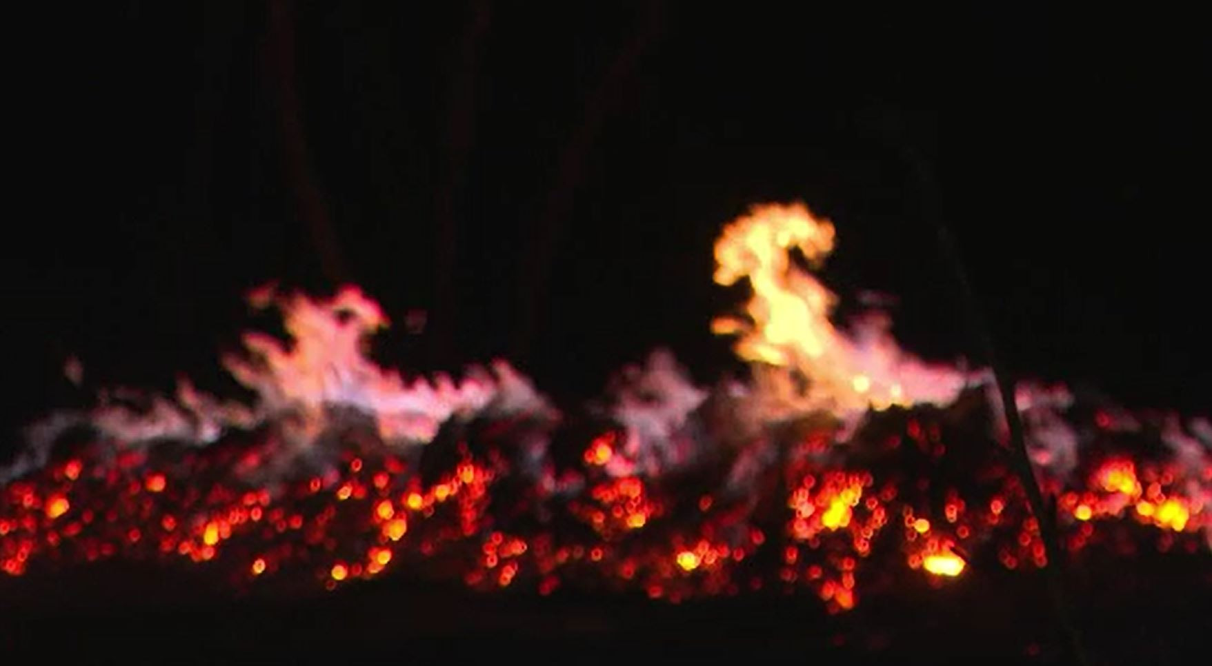 Incendiile de vegetație produc pagube uriașe și în România. Sute de hectare de pământ au fost devastate de flăcări