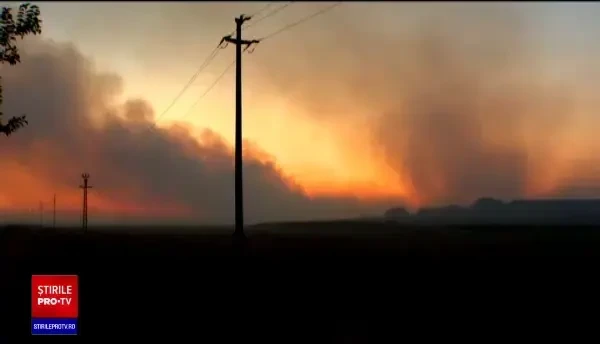 Incendiile de vegetație produc pagube uriașe și în România. Sute de hectare de pământ au fost devastate de flăcări