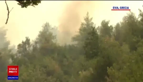 Mărturii din infernul grec. Sate întregi de oameni s-au unit să țină piept incendiilor care le-au mistuit viețile