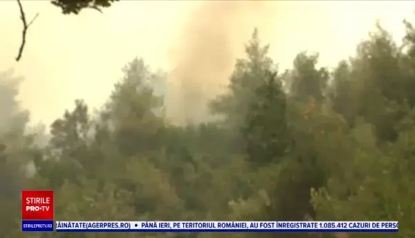 Mărturii din infernul grec. Sate întregi de oameni s-au unit să țină piept incendiilor care le-au mistuit viețile
