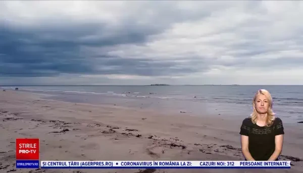 Situație alarmantă la nivelul planetei: Păsările care riscă să devină o amintire și lacuri care pur și simplu dispar