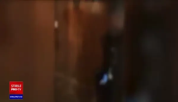 Cinci tineri din Vaslui și-au legat amicul de pahar de un copac și l-au umilit. Sunt acum cercetați penal