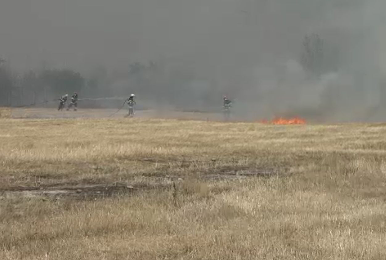 Incendiile de vegetație pot să ne aducă oricând în situația Greciei. Pompierii au stins hectare întregi, peste noapte