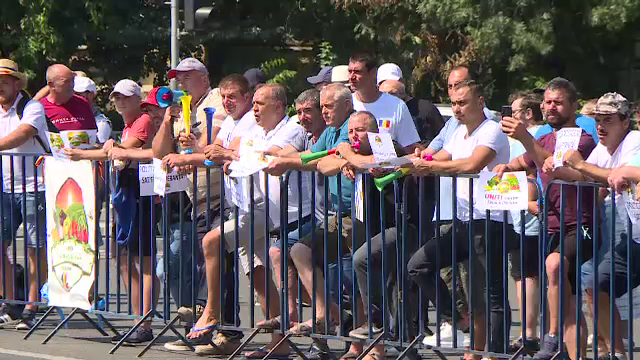 Fermierii români cer sprijin Guvernului, nemulțumiți că nu au unde să îşi vândă marfa. Ce soluții au