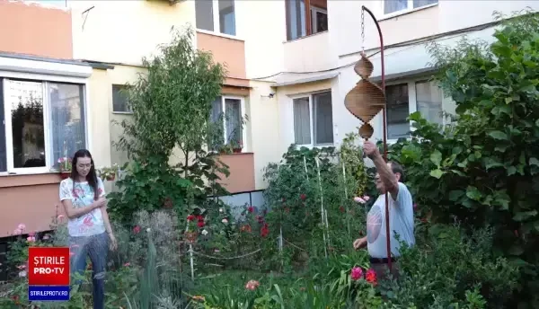 Colțul de rai amenajat de un bărbat în curtea blocului său din Baia Mare i-ar putea aduce un premiu de 5.000 de lei