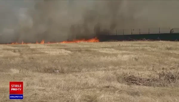 Incendiile de vegetație pot să ne aducă oricând în situația Greciei. Pompierii au stins hectare întregi, peste noapte