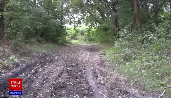 Un bărbat din judeţul Vaslui s-a împuşcat singur în mână, din greșeală, cu arma de vânătoare