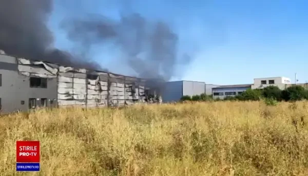 Incendiu de proporții în Mogoșoaia
